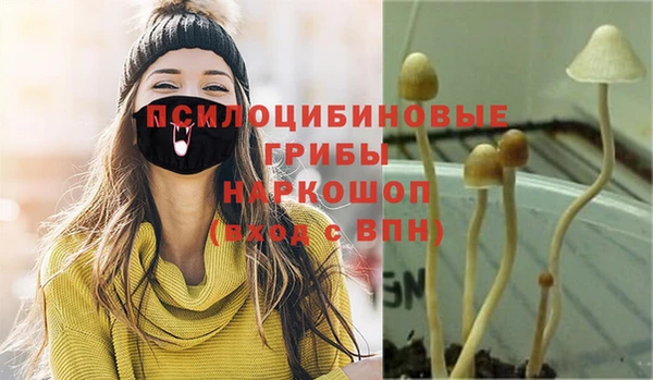 мяу мяу мука Армянск